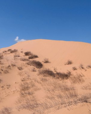 Kumlu dağlar, Sarykum, Dağıstan