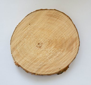 Günlüklerin üzerine beyaz bir arka plan üzerinde kesti. Çam. Seçici odak.