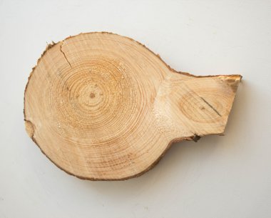 Günlüklerin üzerine beyaz bir arka plan üzerinde kesti. Çam. Seçici odak.