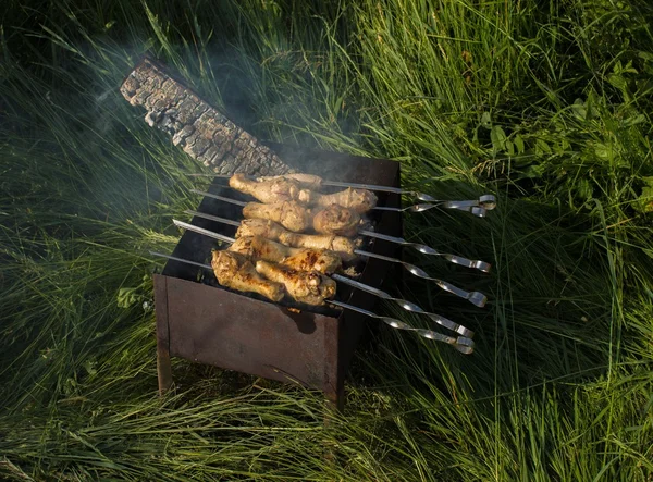 Pollo sobre carbones — Foto de Stock