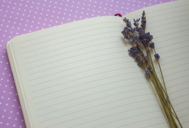 Lavanta menekşe arka plan üzerinde