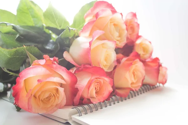 Roses on white background — Stock Photo, Image