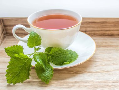 çay bardağı taze nane yaprakları ile