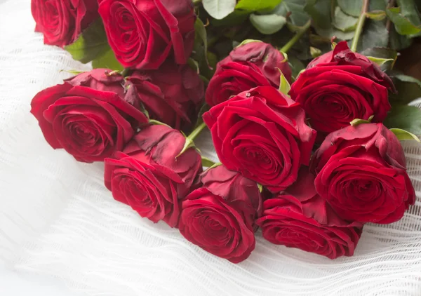 Red roses on white background — Stock Photo, Image