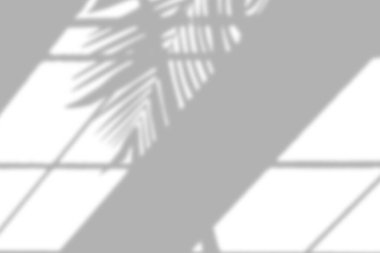 Pencere perdelerinden geçen güneş ışığı, detaylı bitki gölgeleri..