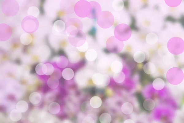 Beau bokeh sur fond blanc et violet  . — Photo