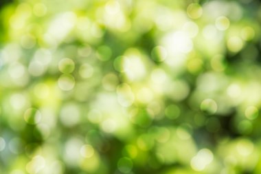 Yeşil bokeh arka plan