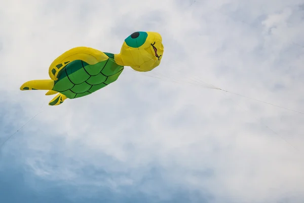 Schildpad Kite — Stockfoto