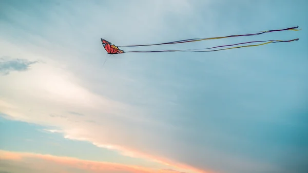 renkli kelebek uçurtma