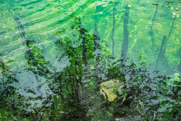 Textura de fonte quente verde (superfície da água ) — Fotografia de Stock