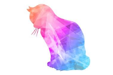 Renkli poligonal kedi 