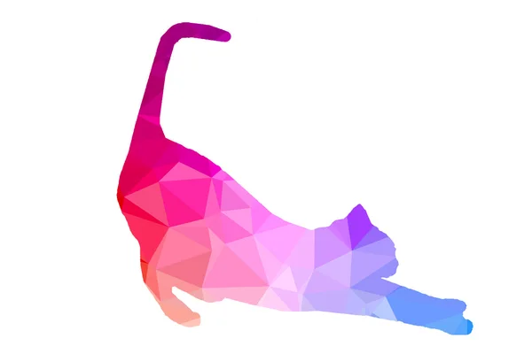 Beyaz arka plan üzerinde renkli poligonal kedi