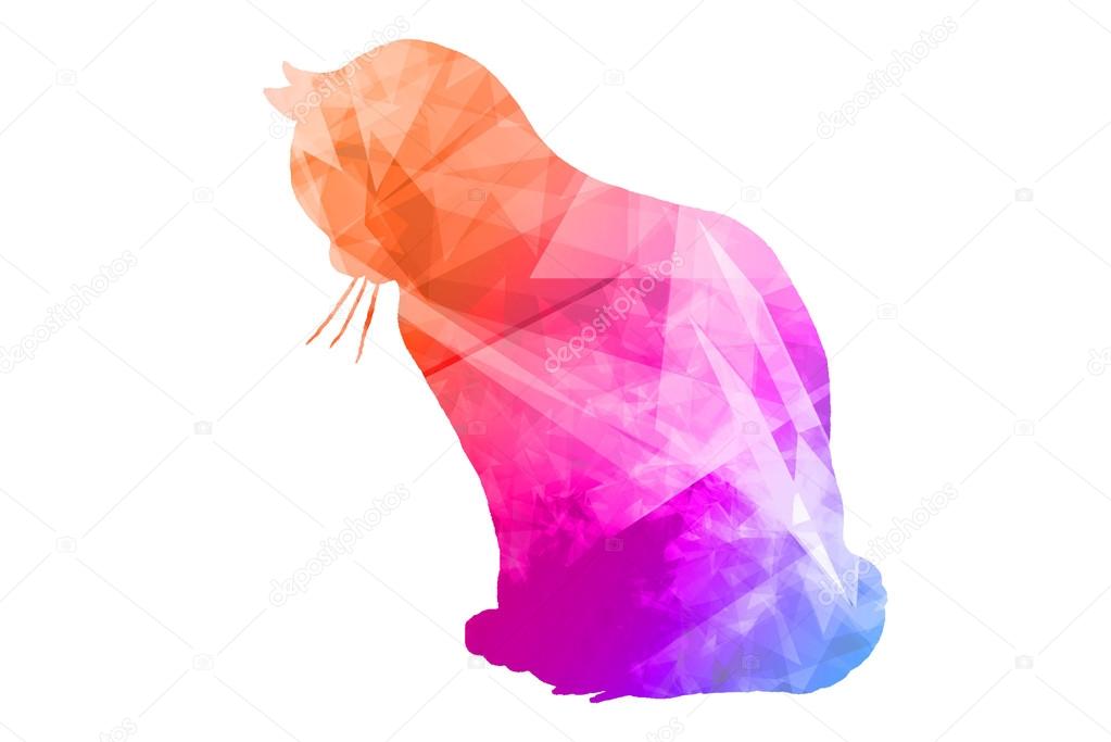 Colorful Polygonal  Cat 