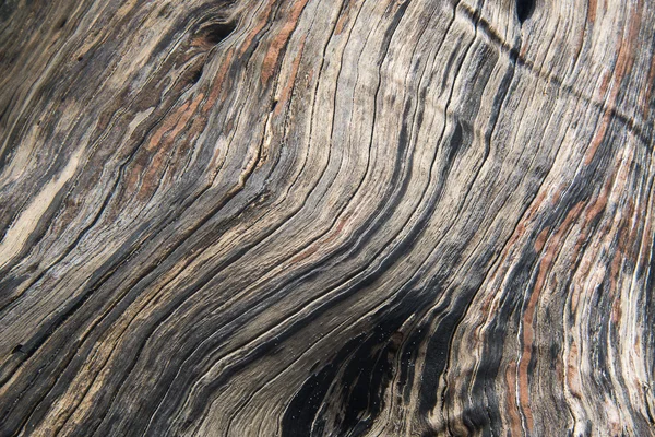 ahşap doku ve eğri çizgi