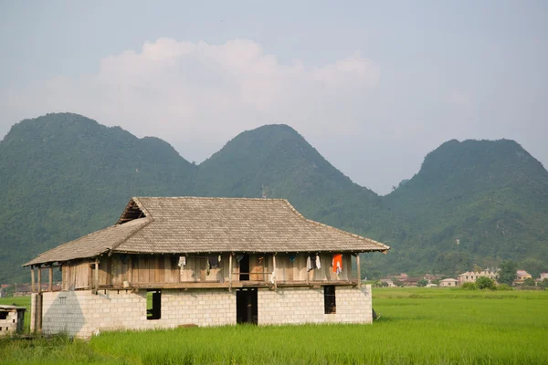 La casa en el campo de arroz en Vietnam —  Fotos de Stock