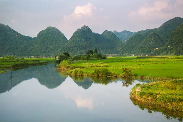 Ποταμού και το ρύζι πεδίο στο Βιετνάμ — Φωτογραφία Αρχείου
