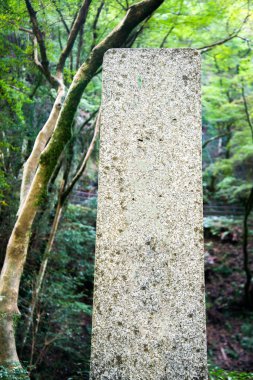 Boş sütun ve doğa geçmiş