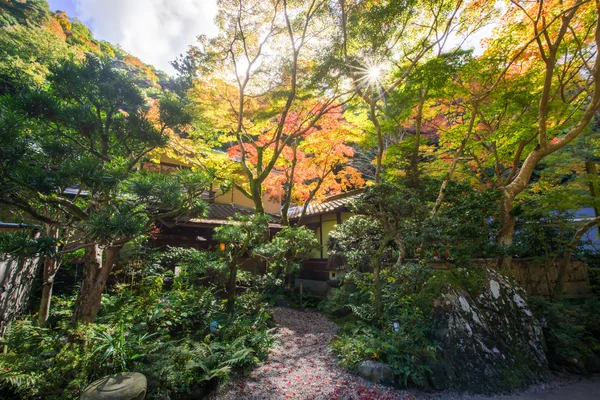 coloful Bahçe evde (renkli yaprak sonbaharda Japonya'da)