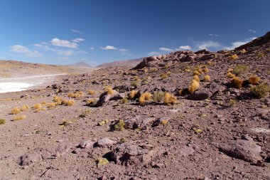 Atacama Çölü
