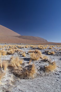 Atacama Çölü