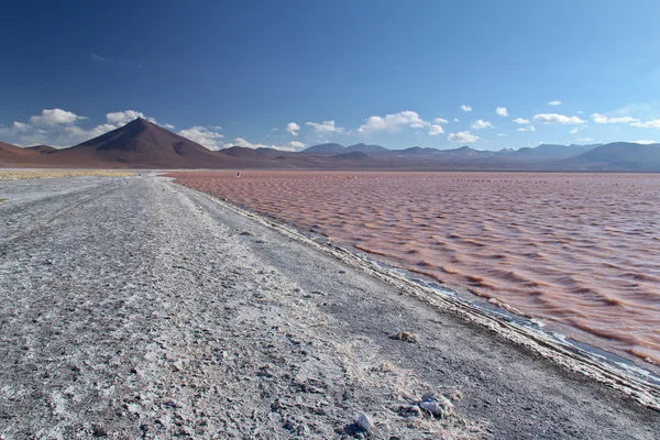 Laguna Colorada à Uyuni — Photo