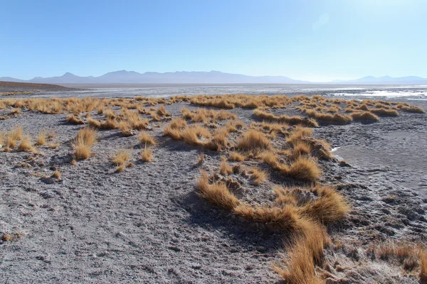 Desierto de Atacama — Foto de Stock