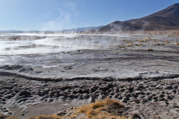 Poušť Atacama Royalty Free Stock Fotografie