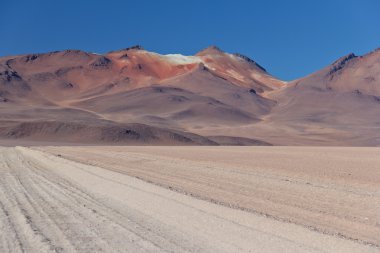 Atacama Çölü