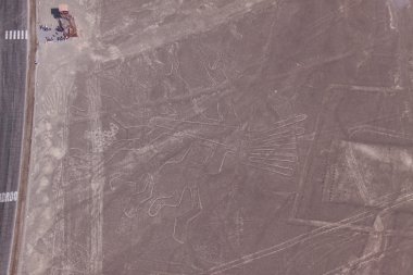 Nazca çizgileri - ağaç