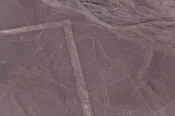 Nazca çizgileri - balina