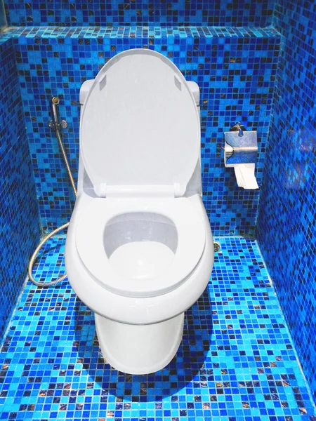 Toilet putih dan tisu toilet di kamar mandi — Stok Foto