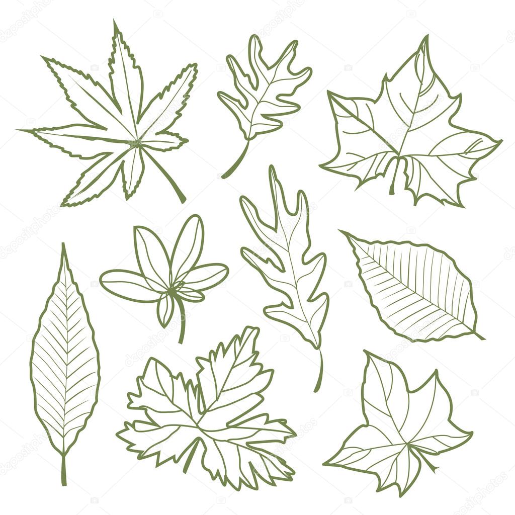 Set of autumn leaves Nature silhouette Icon line Vector illustration