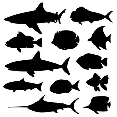 Download Paddlefish Free Vector Eps Cdr Ai Svg Vector Illustration Graphic Art