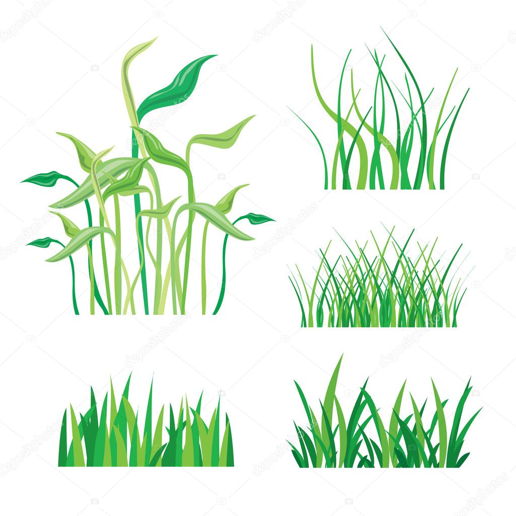 Backgrounds of Green Grass Isolated On White Vector Illustration
