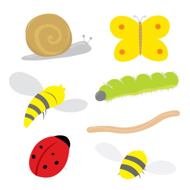 Böcek böcek salyangoz Ladybird kelebek Caterpillar solucan arı arı karikatür vektör