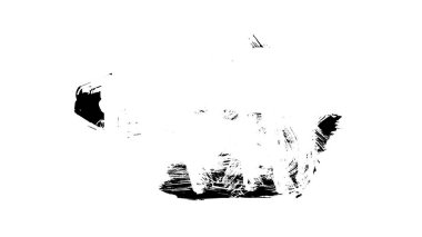 Siyah fırça darbesi ve doku. Grunge soyut elle boyanmış elementler. 