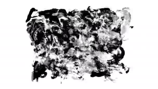 Beyaz Arka Planda Animasyon Grunge Fırça Darbeleri Soyut Boyalı Element — Stok video