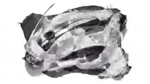 Pennellate Grunge Animazione Sfondo Bianco Mano Astratta Elemento Dipinto Pennellate — Video Stock