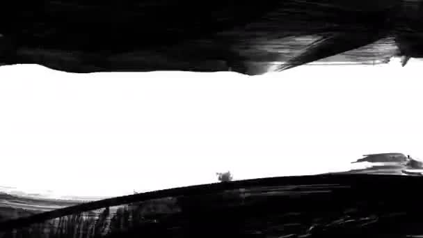 Animation Grunge Ecsetvonások Fehér Háttérrel Absztrakt Kéz Festett Elem Grunge — Stock videók