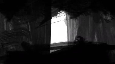 Beyaz arka planda animasyon grunge fırça darbeleri. Soyut el boyalı element. Grunge fırça darbeleri animasyonu etkiler. Altı çizili ve sınır tasarımı. Kusursuz döngü arkaplanı. 