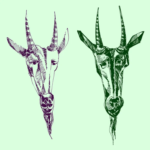 Imagen de dos cabras en vector . — Archivo Imágenes Vectoriales