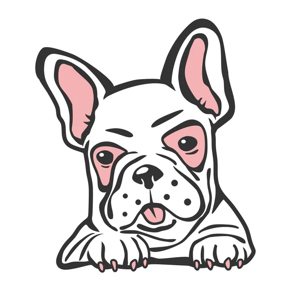 Bulldog Franse huisdier — Stockvector