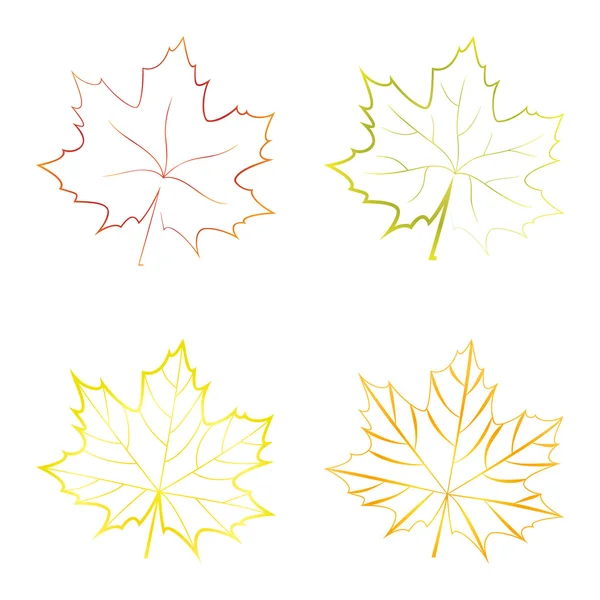 Набор векторных красочных кленовых листьев — стоковый вектор