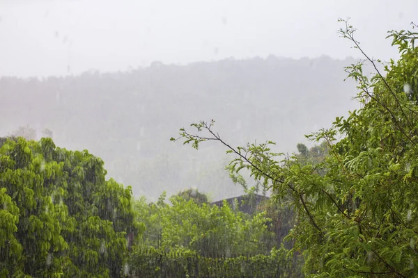 山や木を背景に自宅で大雨 — ストック写真