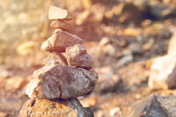 Sten Golvet Skogen Med Solnedgång Zen Liknande Koncept — Stockfoto