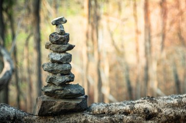 Ormanda taş üstüne taş Günbatımı Zen gibi konsept