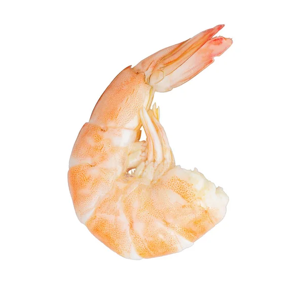 Shrimp Isoliert Weißen Hintergrund — Stockfoto