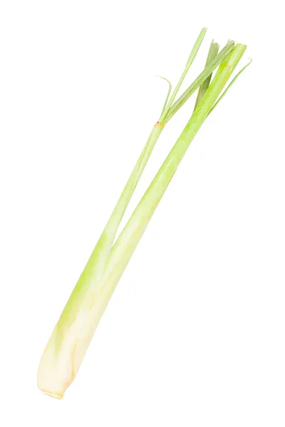 Fresh Lemongrass Isolated White Background — Stock Photo, Image