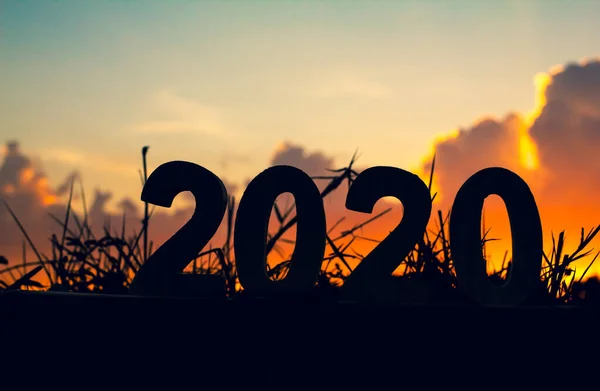 Silueta 2020 Šťastný Nový Rok Dřevěných Čísel Trávě Oblohou Mraky — Stock fotografie