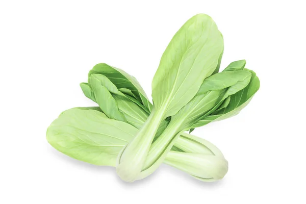 Bok Choy Vegetal Isolado Fundo Branco — Fotografia de Stock